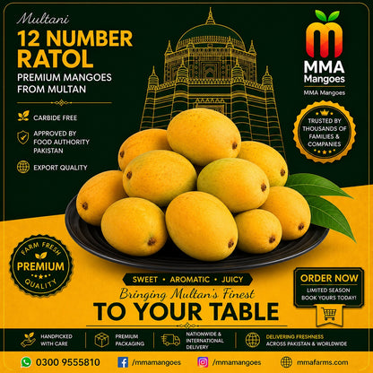 Anwar Ratol 12 Number premium mango box from MMA Mangoes Multan — carbide-free, Food Authority approved, export quality, paper-thin seed