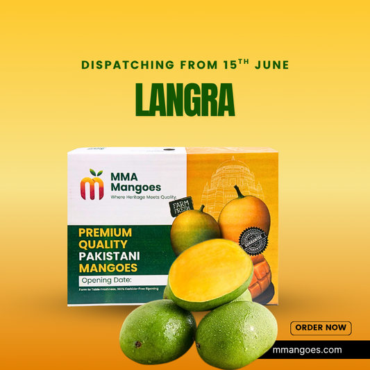 Multani LANGRA Premium Box