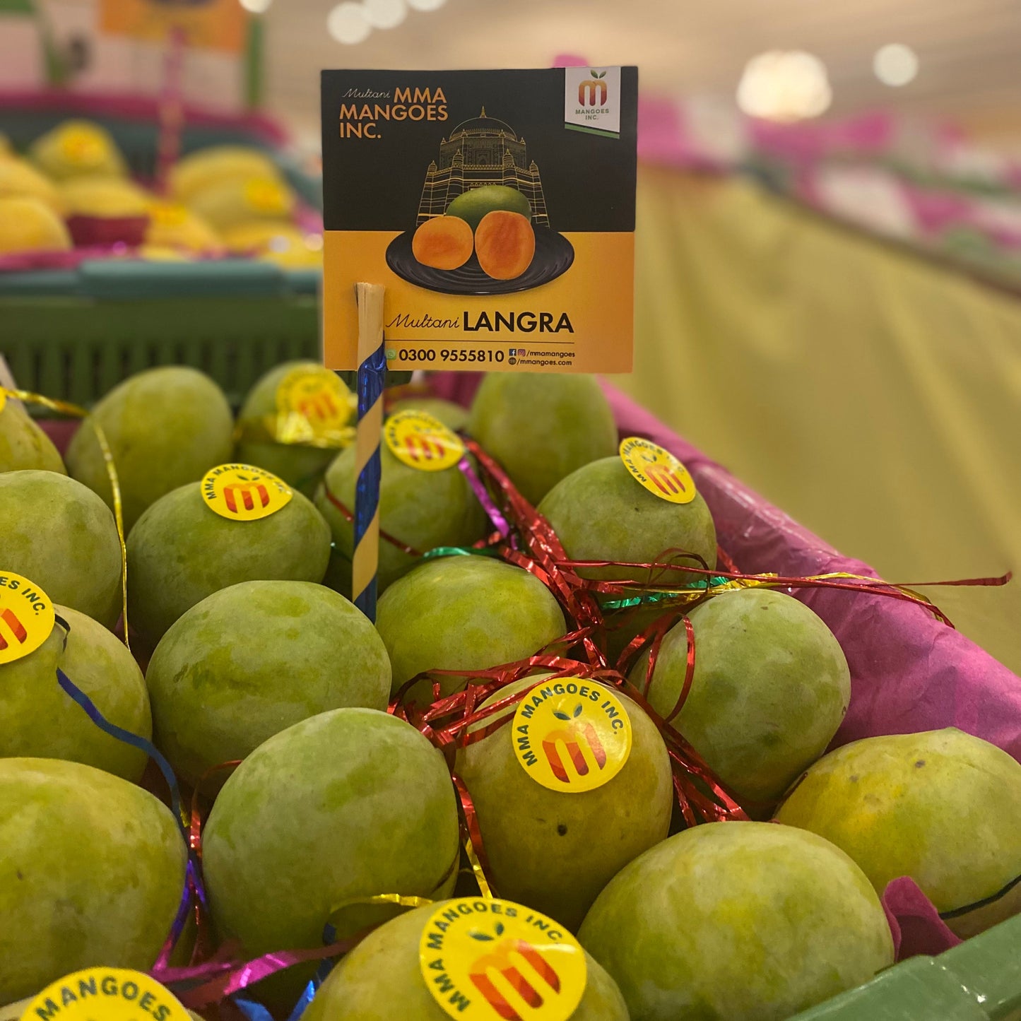 Multani LANGRA Premium Box