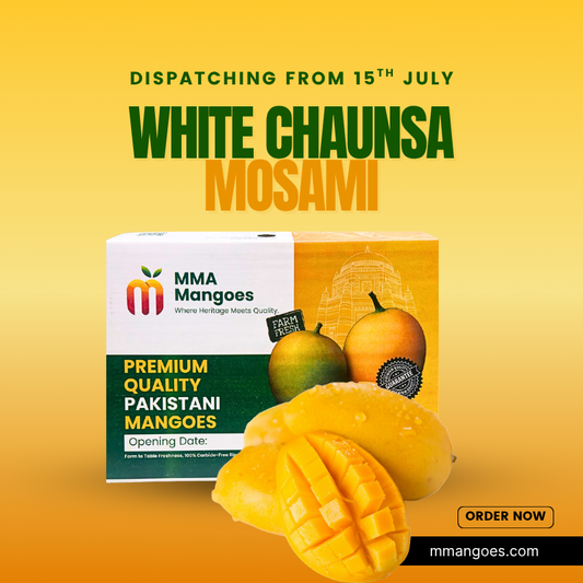 Mosami White Chaunsa Premium Box