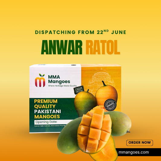 Multani Anwar Ratol Premium Box