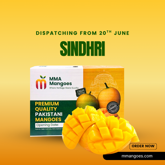 Multani SINDHRI Premium Box