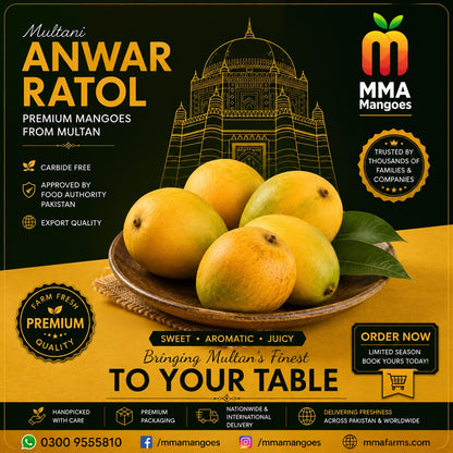 Multani Anwar Ratol premium mango box from MMA Mangoes Multan — carbide-free, Food Authority approved, export quality, intensely sweet