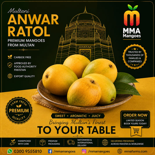Multani Anwar Ratol premium mango box from MMA Mangoes Multan — carbide-free, Food Authority approved, export quality, intensely sweet