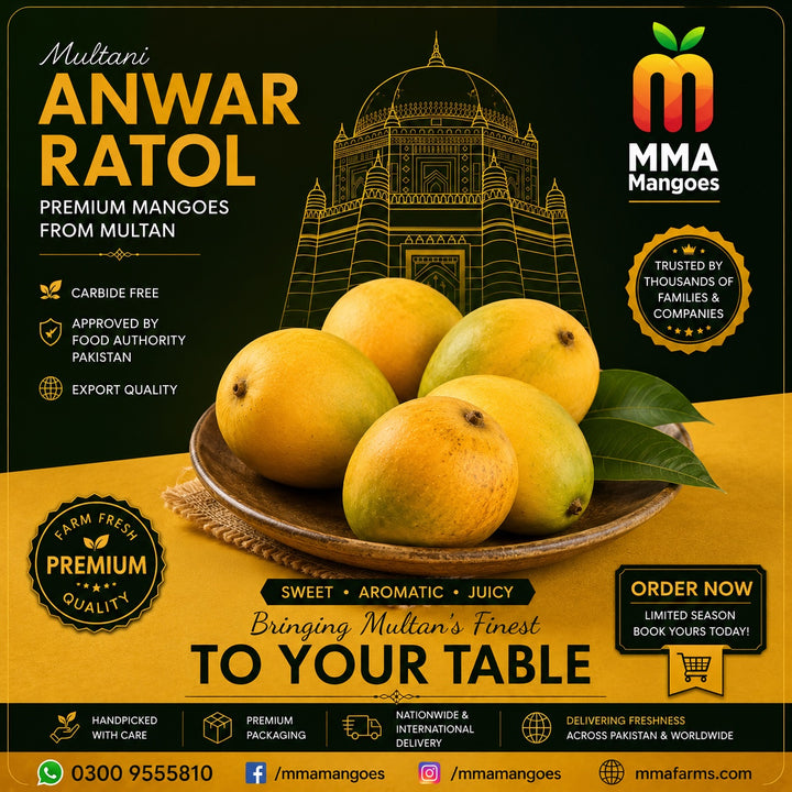 Multani Anwar Ratol premium mango box from MMA Mangoes Multan — carbide-free, Food Authority approved, export quality, intensely sweet
