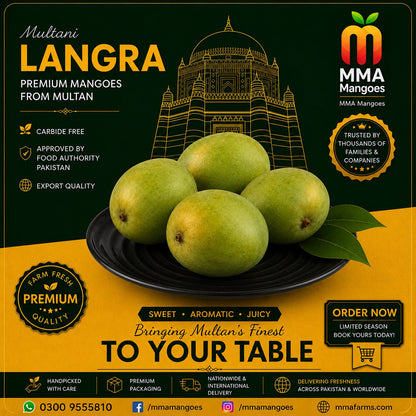 Multani Langra premium mango box from MMA Mangoes Multan — carbide-free, Food Authority approved, export quality, sweet aromatic juicy