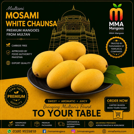 Mosami White Chaunsa premium mango box from MMA Mangoes Multan — carbide-free, Food Authority approved, export quality, handpicked with care