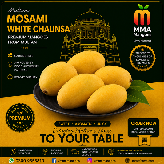 Mosami White Chaunsa premium mango box from Multan