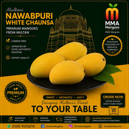 Nawabpuri White Chaunsa premium mango box from MMA Mangoes Multan — carbide-free, Food Authority approved, export quality, sweet aromatic juicy