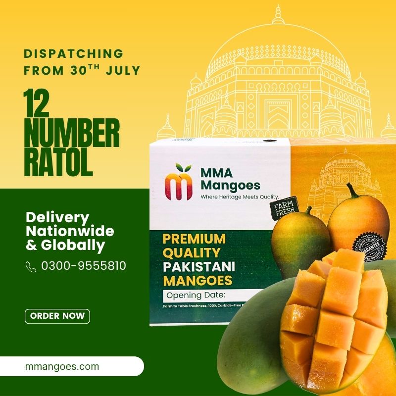 Multani 12 NUMBER Ratol Premium Box