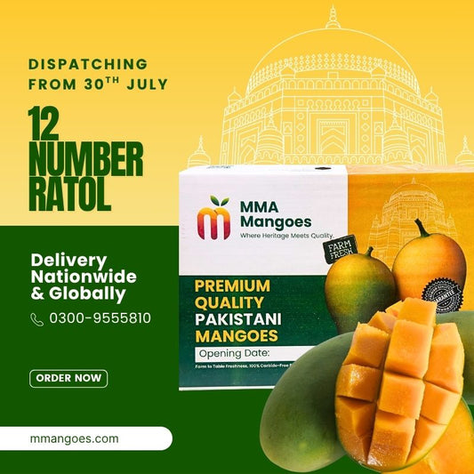 Multani 12 NUMBER Ratol Premium Box