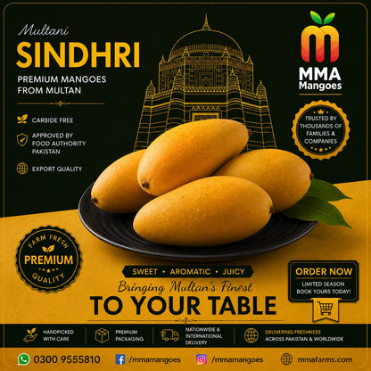 Multani Sindhri premium mango box from MMA Mangoes Multan — carbide-free, Food Authority approved, export quality, nationwide delivery