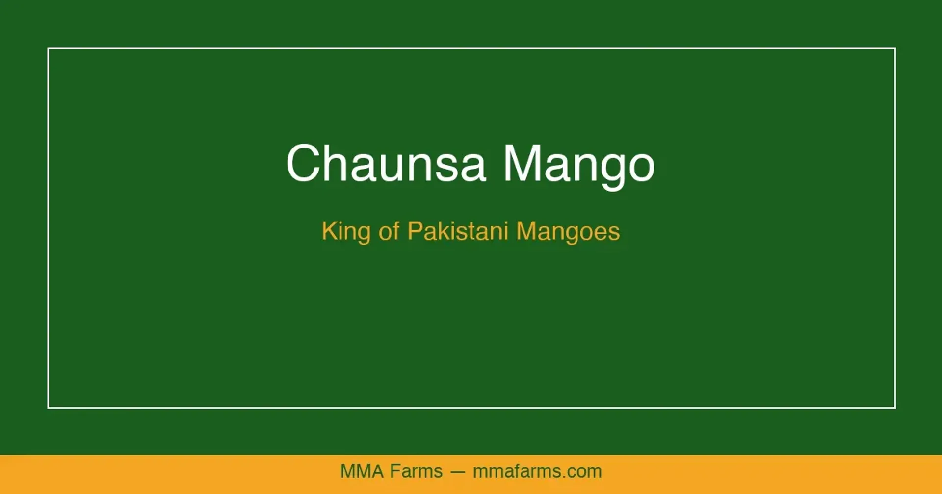 Chaunsa Mango Showcase — Pakistan's King of Mangoes