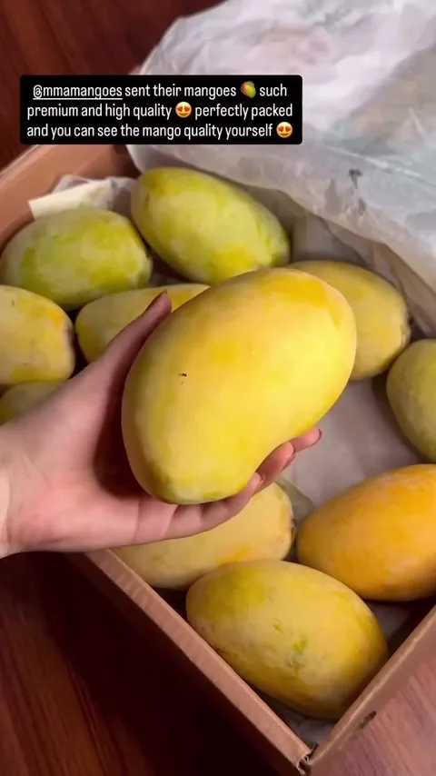 Customer Review — MMA Farms Mango Quality Up Close