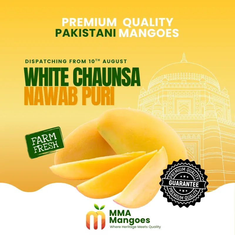 White Chaunsa Nawab Puri — Multan's finest mango