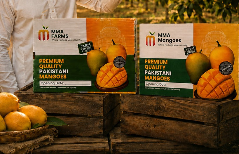 A premium MMA Mangoes gift box of carbide-free Multani mangoes