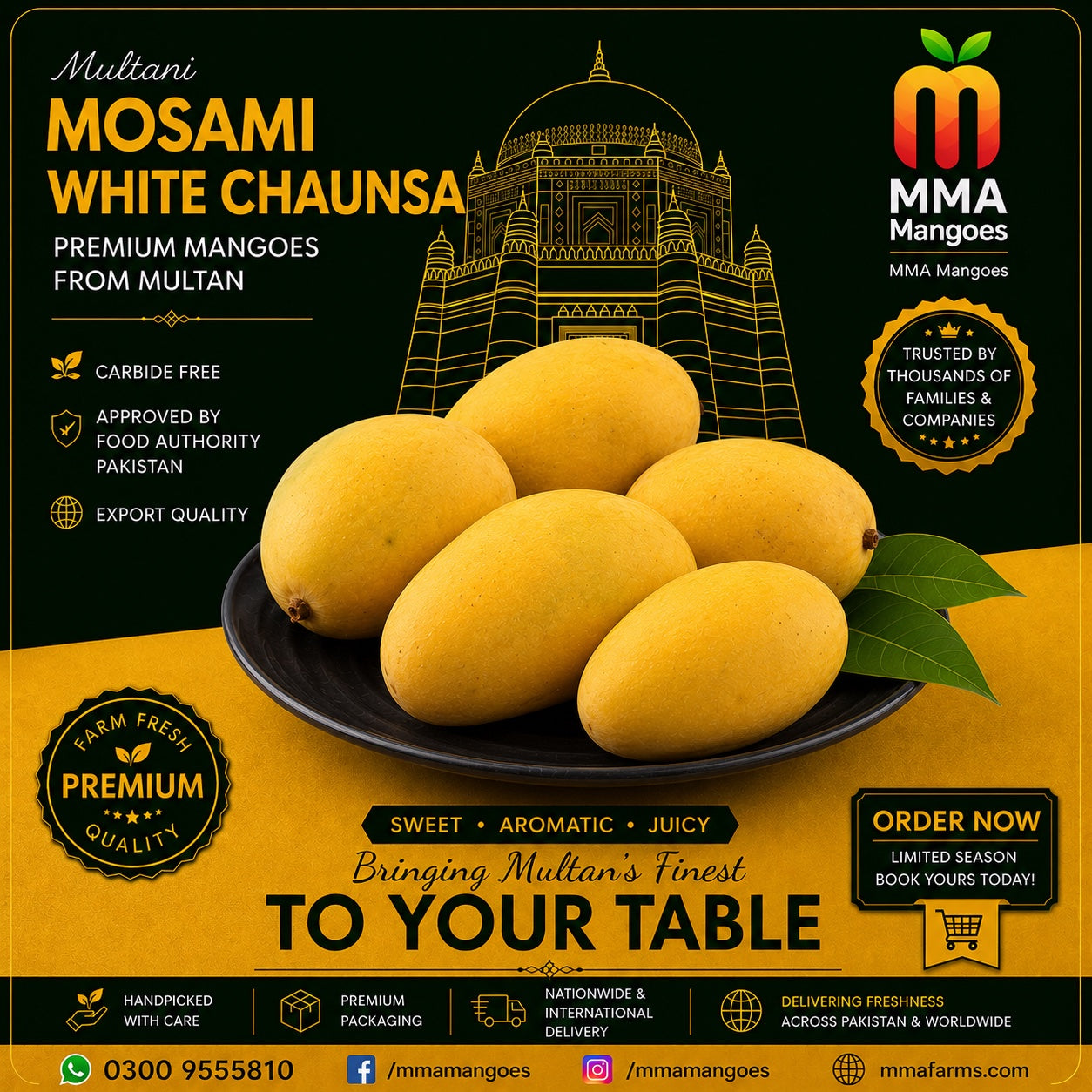 Mosami White Chaunsa premium mango box from MMA Mangoes Multan — carbide-free, Food Authority approved, export quality, handpicked with care