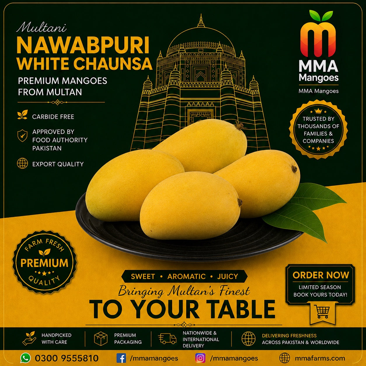 Nawabpuri White Chaunsa premium mango box from MMA Mangoes Multan — carbide-free, Food Authority approved, export quality, sweet aromatic juicy