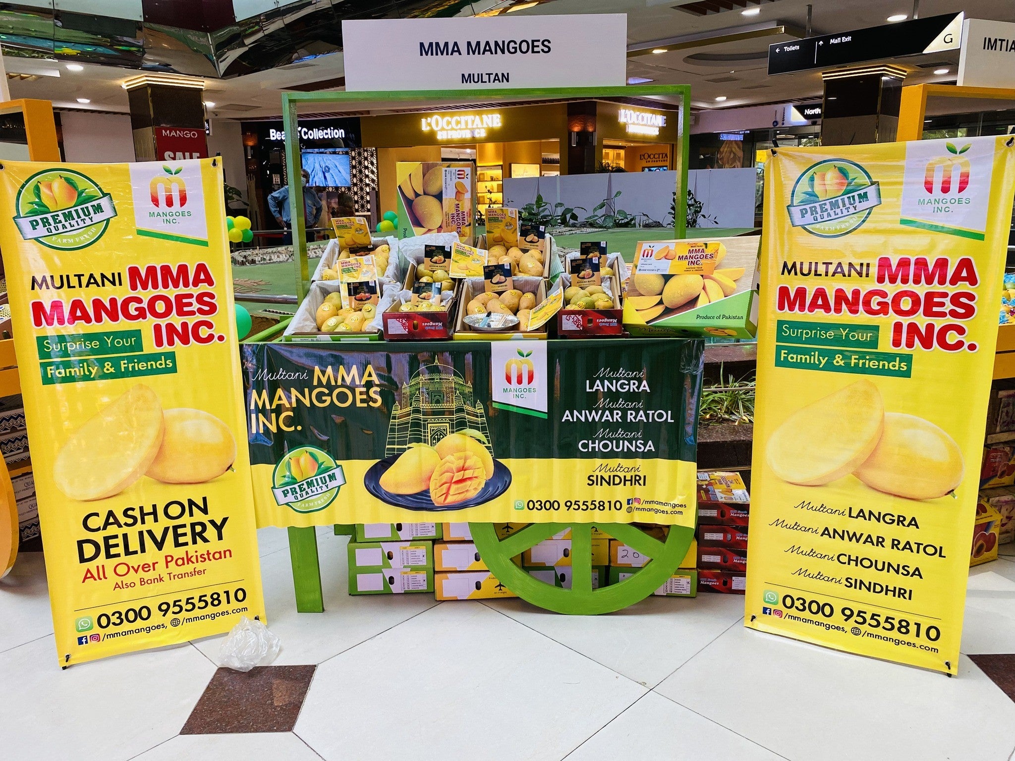 Branded corporate mango gift boxes by MMA Mangoes